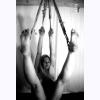 Tanuki_Shibari.jpg 14.9K
